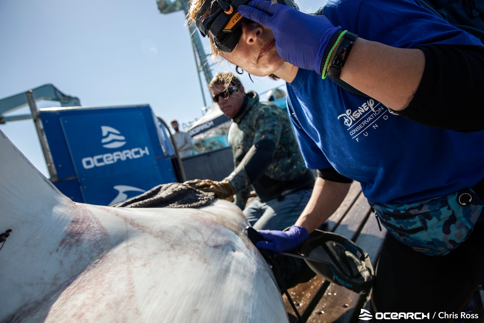OCEARCH Nova Scotia 2021